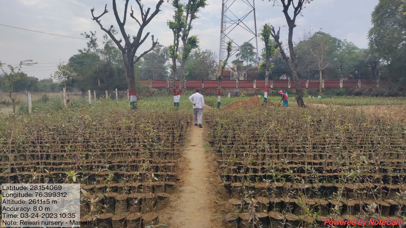 Forest Nursery